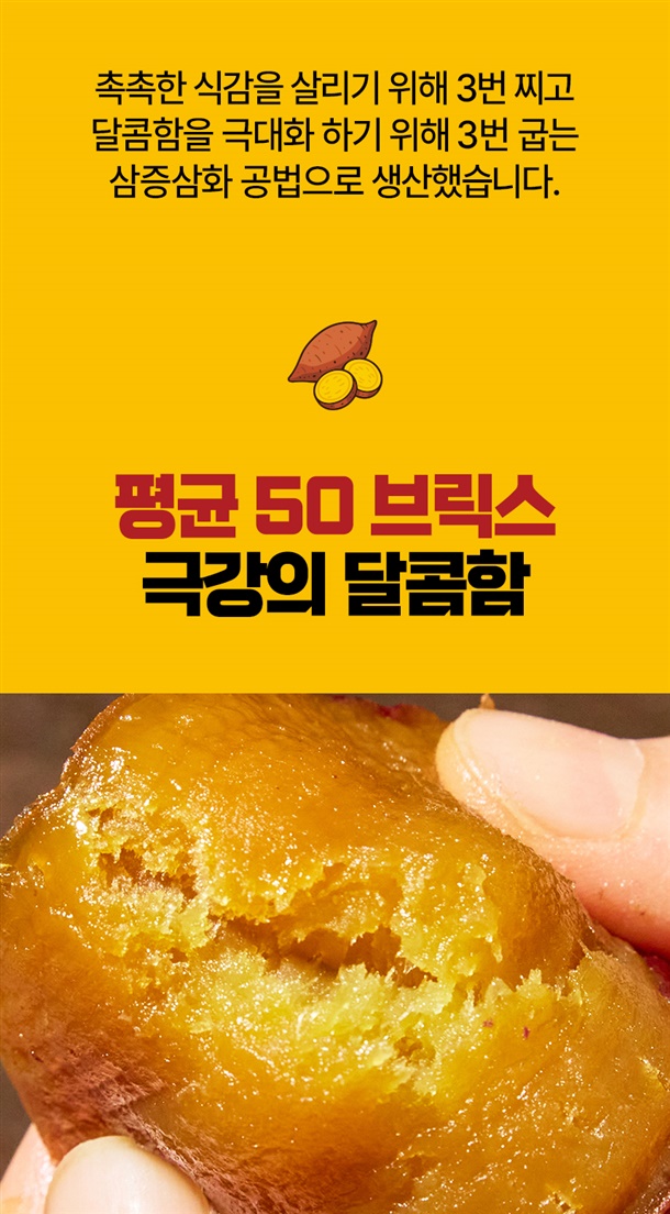 50 브릭스
