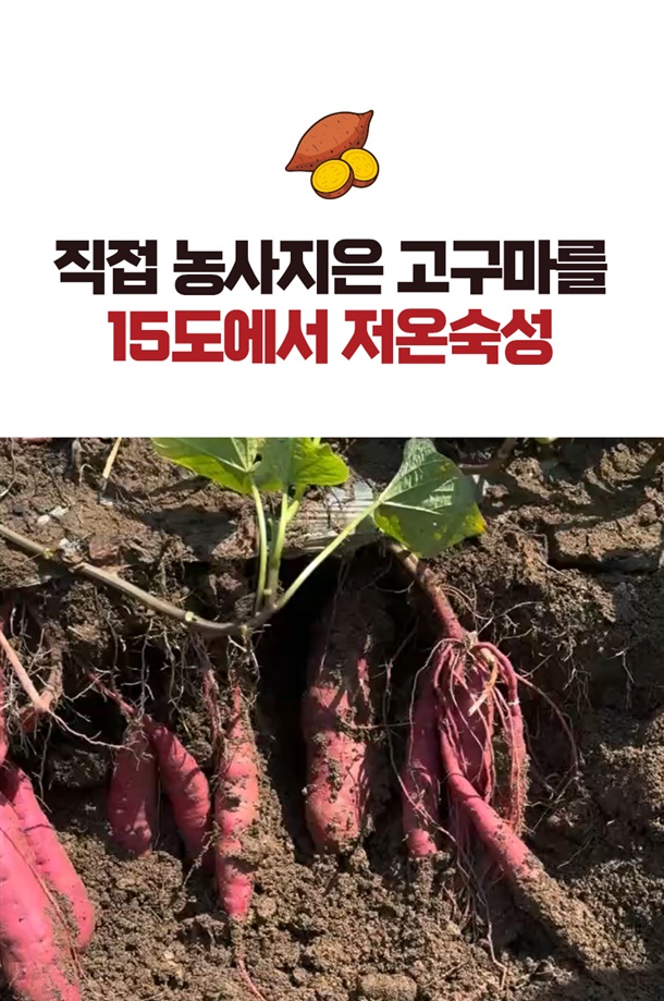 저온숙성