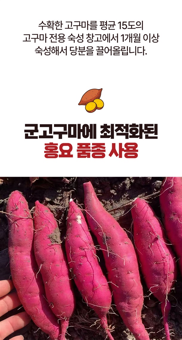 홍요 품종