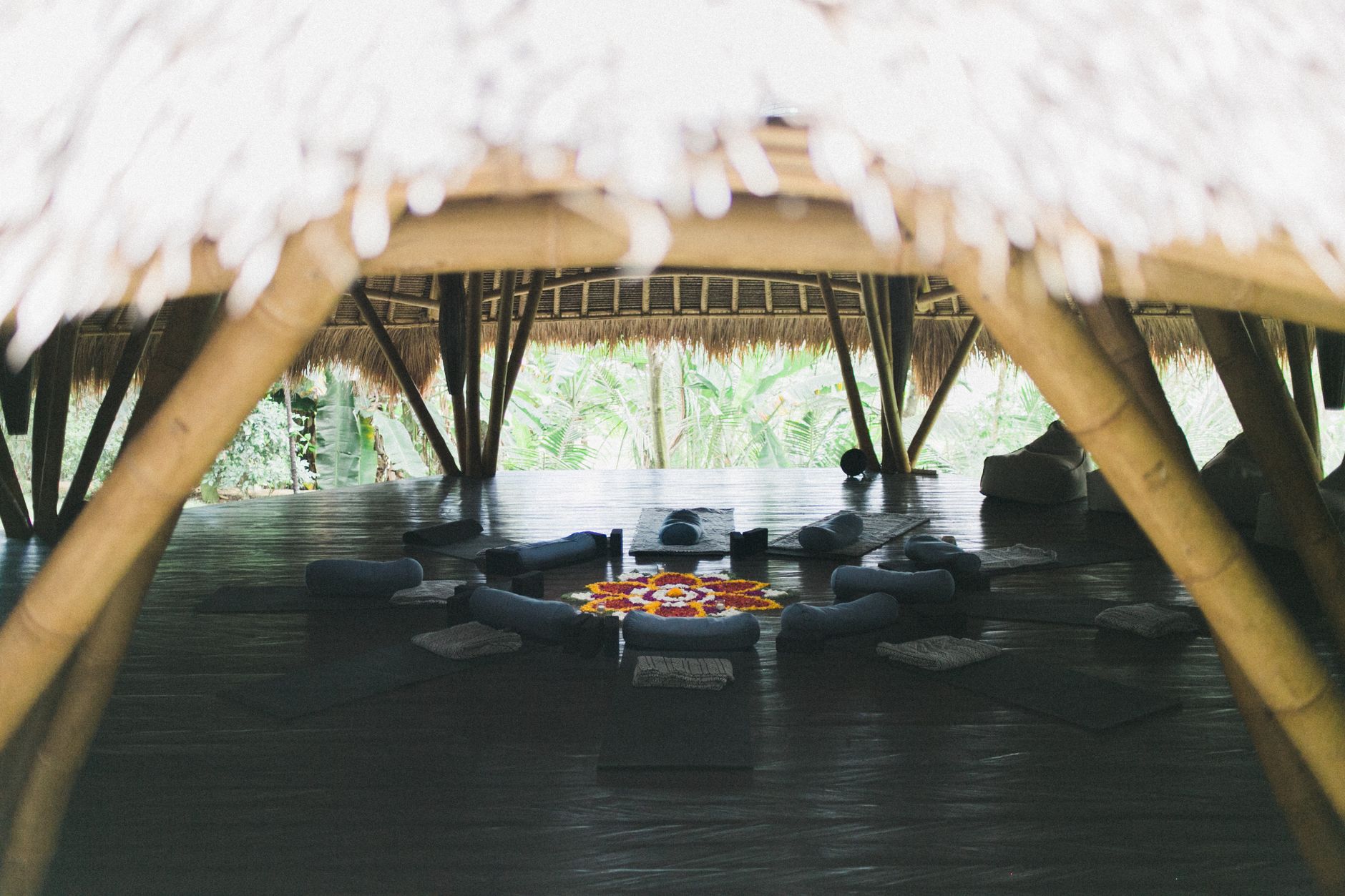 리트릿 자연 환경에서 진행되는 요가